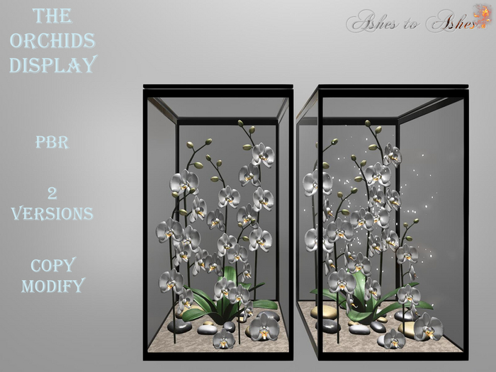 Orchids