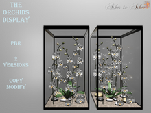 Orchids