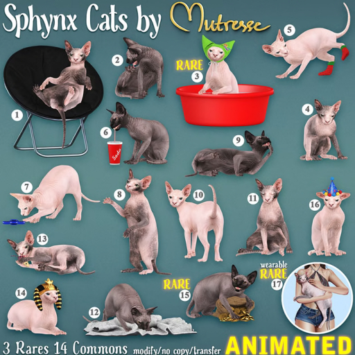 Mutresse Sphynx Cats Set