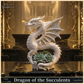 Dragon of the Succulents