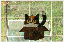 Oh Deer! Shiny Cats: Box Cat (Add Me)
