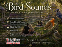 Bird Sounds