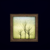 EED's FRAME TREE 2 resizer c