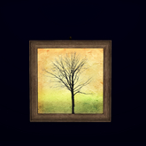 EED's FRAME TREE 3 resizer c