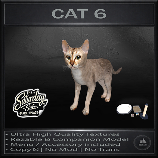 .:Bellart Studio:. Cat 6