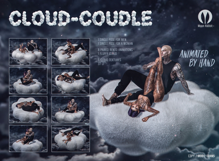 ~MR~CLOUD-COUDLE~ 