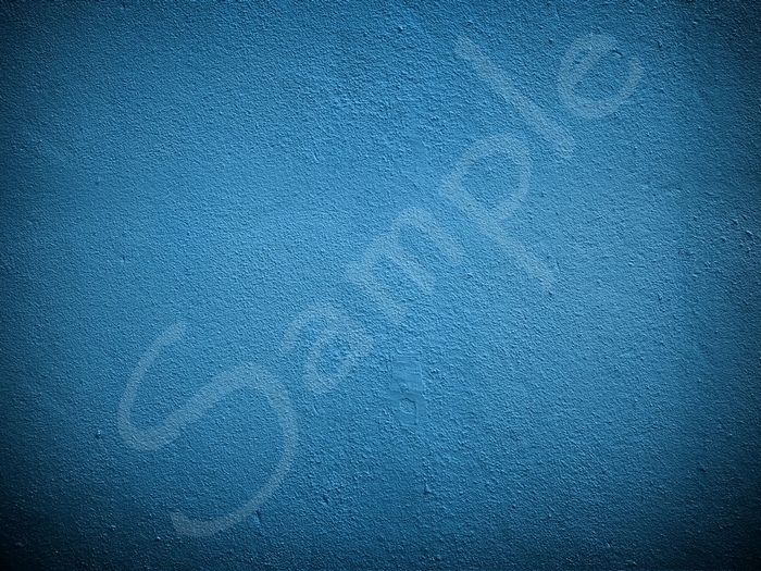 しっくいの壁 1.3  すべての権限