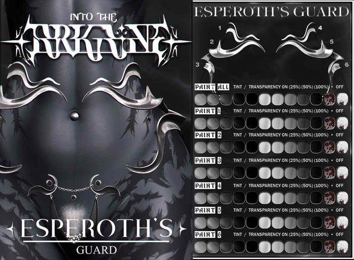 ✦ A R K A I N E ✦ / ESPEROTH'S Guard