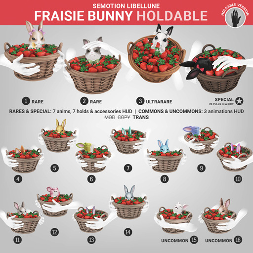 SEmotion Libellune Fraisie Bunny Holdable RARE 02