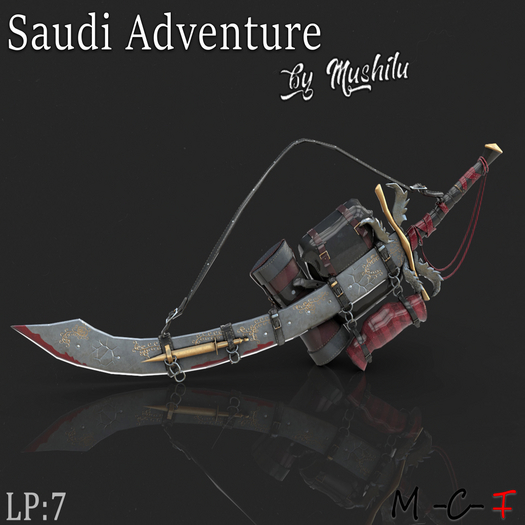 0067  Saudi Adventure