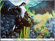 [7+] ANTHRO : SHARK 