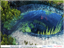 [7+] BLUE HOLE : UNDERWATER CAVE