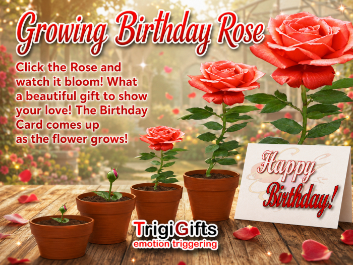 Birthday Card