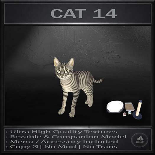 .:Bellart Studio:. Cat 14