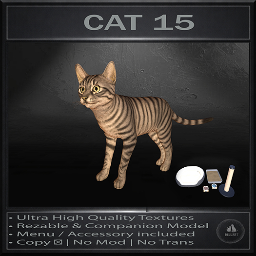 .:Bellart Studio:. Cat 15