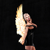 Wild Rose Golden 3   Wings  