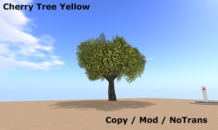 Cherry Tree Yellow - Box - V. 1.0