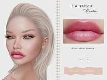 This is ... Kissable! HD Applier 16 diff. Lipstick Tones EVO X