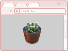 Fake Succulent Dark - Almita