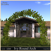 IVY