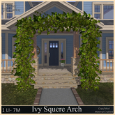  Ivy Arch