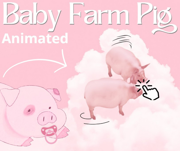 Baby Farm Pig / Animated