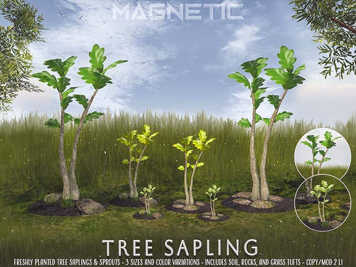 Magnetic - Tree Sapling