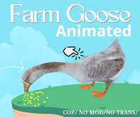 Farm Goose / Animated  - F