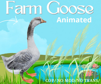Farm Goose / Animated  - M