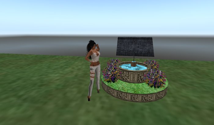 wishing well purple