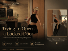 Trying to Open a Locked Door. Priority 5 Loop Animation