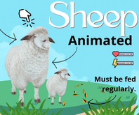 Farm Sheep Pack