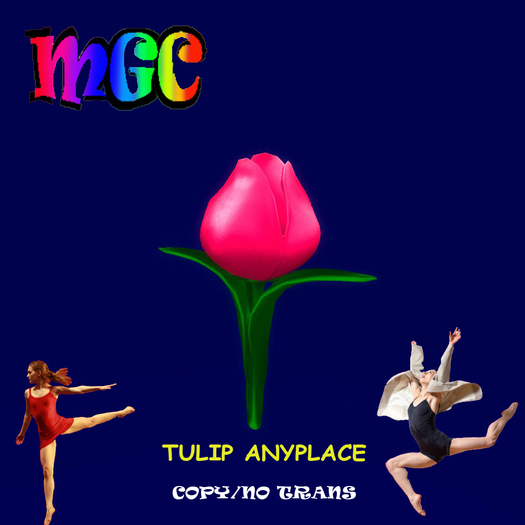 Tulip Pink Anyplace