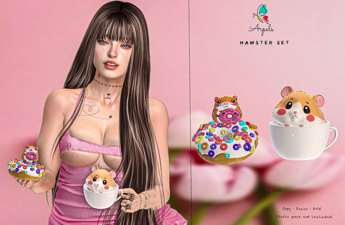 AP HAMSTER SET