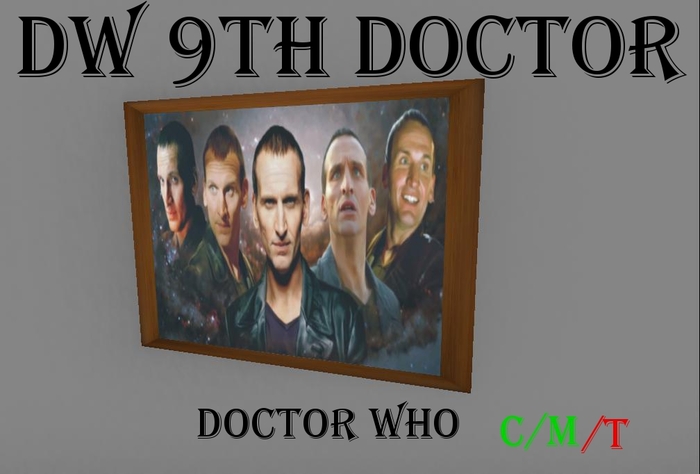 DW 9th doctor