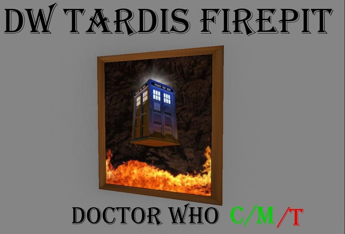 DW tardis firepit