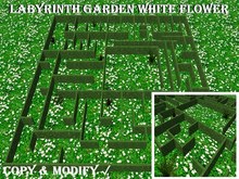Labyrinth Garden White Flower