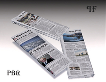 Newspaper 003