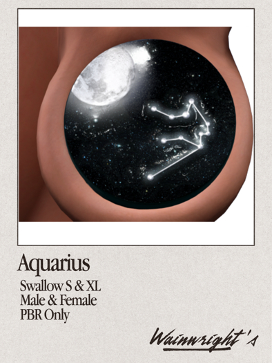 Wainwright's - Zodiac - Aquarius (PBR ONLY)