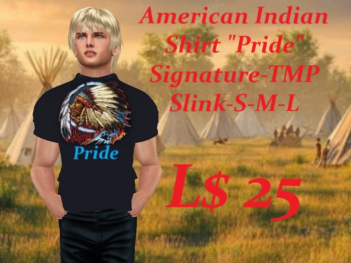 Native American Shirt-Pride