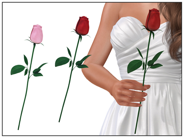 Single Rose (Transferable)