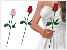 Single Rose (No Transfer)