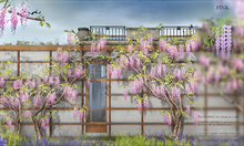 8f8 - Climbing Spring - Climbing Wisteria - PINK 