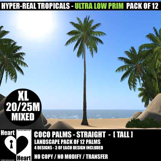 Palms – Single Straight Tall Coco Palms – Ultra Low Prim - p12