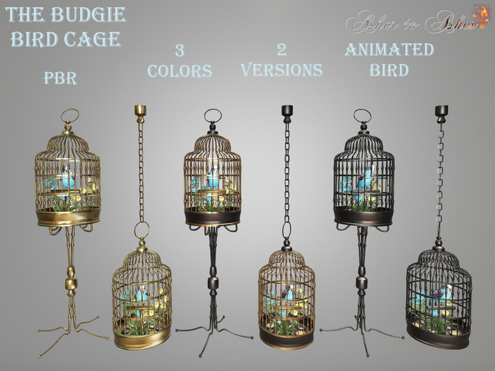 Bird Cage