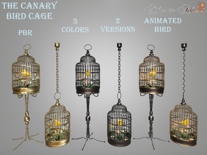 Bird Cage