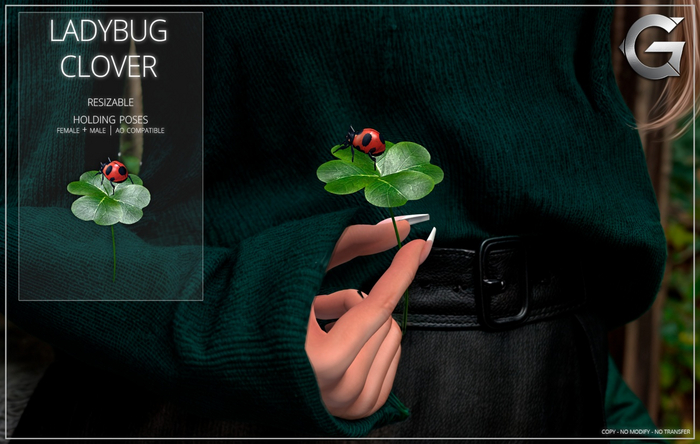 {geek} Ladybug Clover
