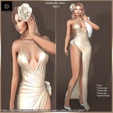 SAS - Pommeline Peach Gown