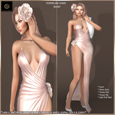SAS - Pommeline Blush Gown