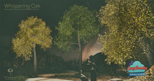 Whispering Oak Tree by Little Branch